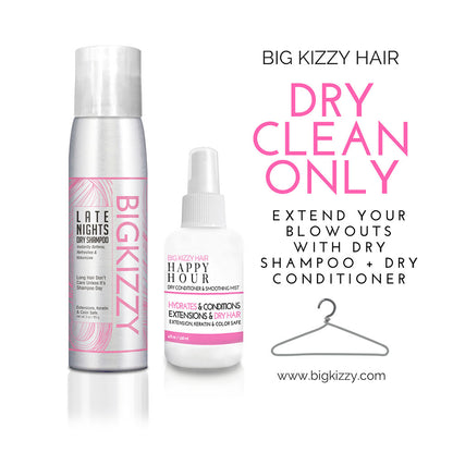 Dry Shampoo and Dry Conditioner Bundle